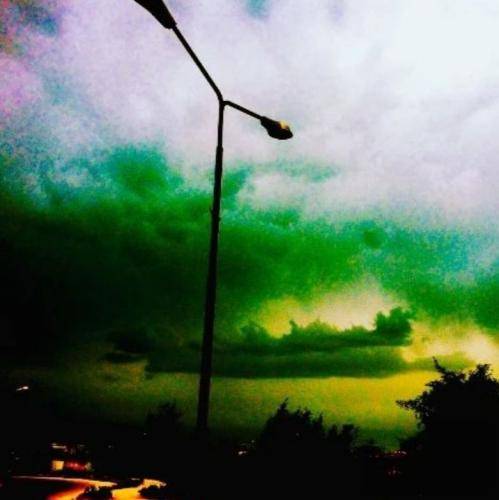  از اولشم نبود تو قفس جای من