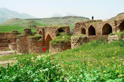 شکر الله محمدی وه بختم وای لج ایکنه