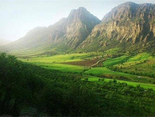 شکر الله محمدی تره نارنجی