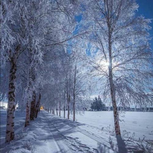  هرچی قرارداده الان برام روی میزه