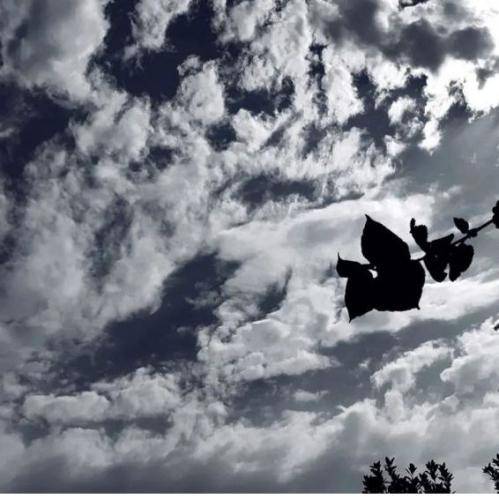  گفتم پیک چندمی گفتی حسابش از دست در رفت پس