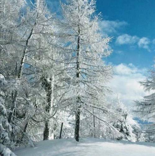 بازم نشستی روبروم مات تماشای توام