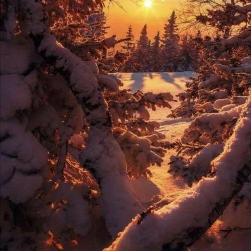 چیه میزنه لاته رفته بگیره دیه دیدنش