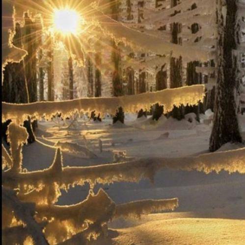  گنده شم واسه سَرم جایزه بذارین