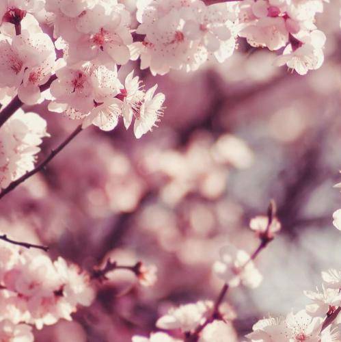  واسه ذوقی که داشتم برای رسیدن به آرزوم که