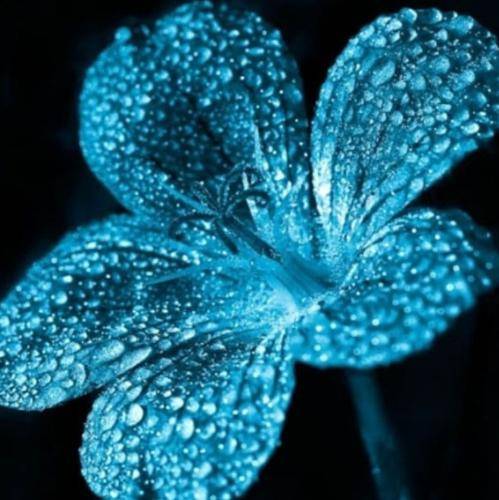  تنگه دلم واسه دلخوشی با چیزای کوچیک