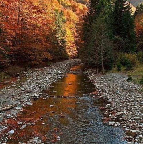  بیشتر همه کار میکنم بابا عیب نیست کار