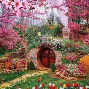 دانلود آهنگ میمیری زود خب یجوری زندگی کن انگار قرار نیست