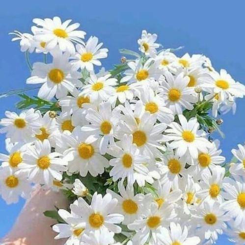  میرم سوار یه سفینه که بشم ازت دور