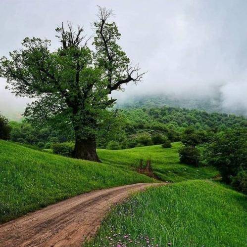  حاضرم آدمم واس موندنت بکشم