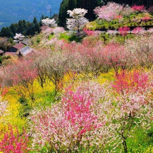  روبه قبلمو روی پلمو کاش تو این وضع نبینم حداقل اکسمو