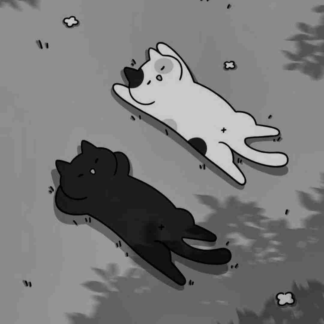 اگه جنگم بشه توپه حالم با صدای باب اسفنجی