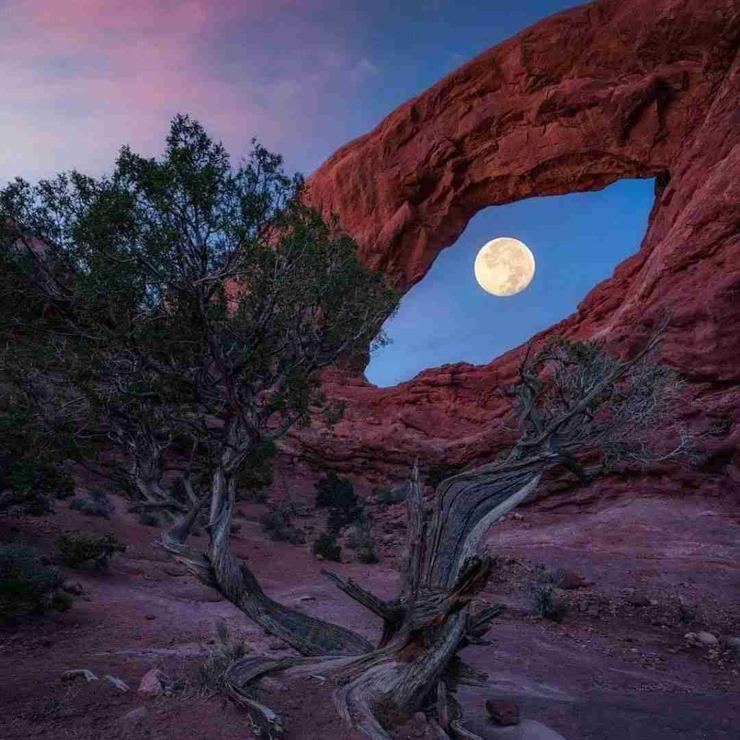  خالیه چپه سینم دل نیست هرجا میرم میگم فقط حیف نیست