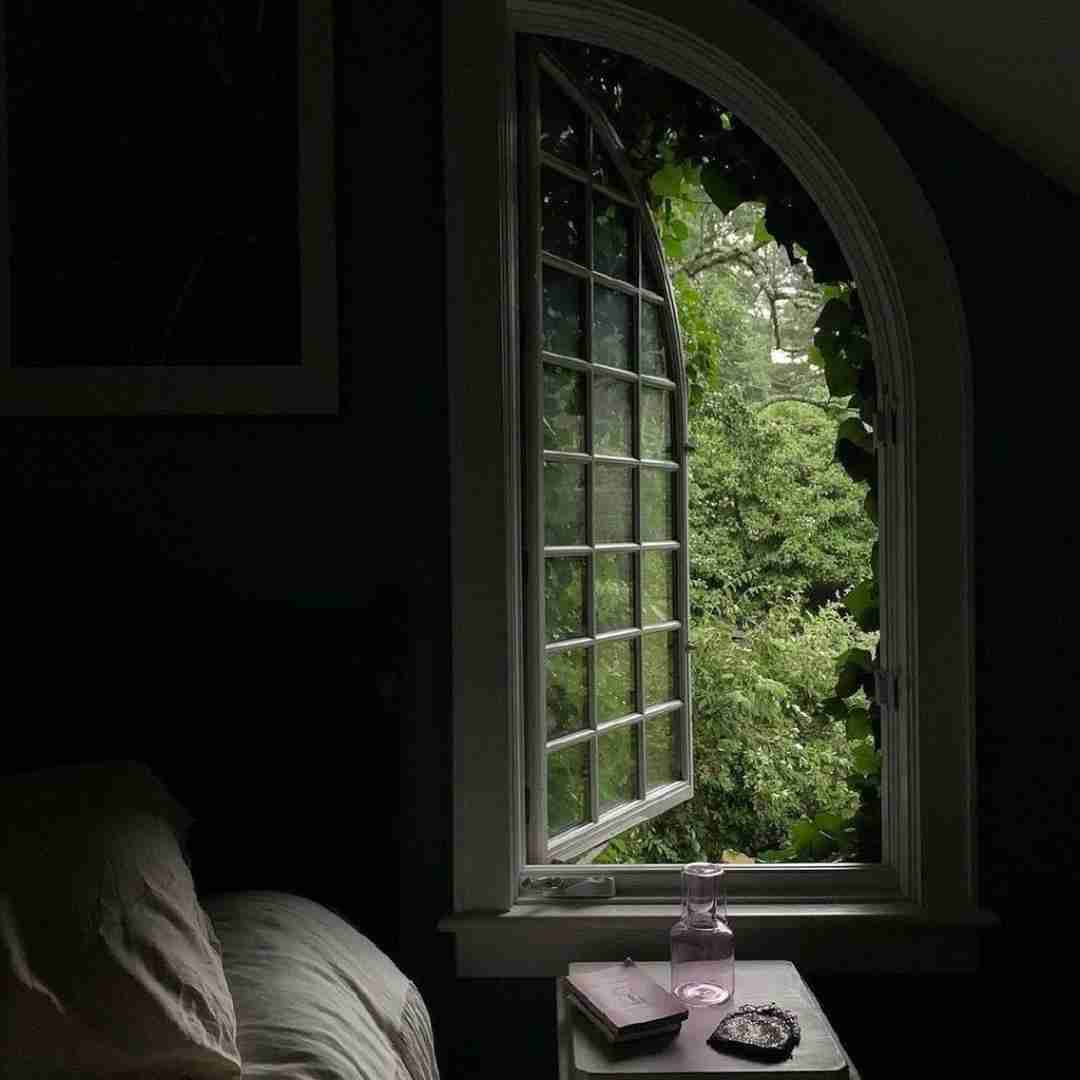 بزار اون بره میخواد بپره یه روزی میفته اون تو تله