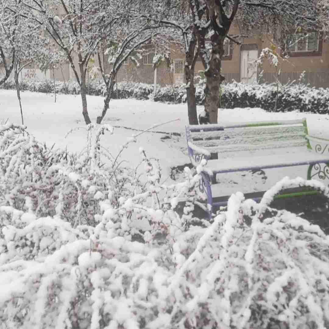  گرد کی دری لج کی آخه مگه دشمندم با صدای رونالدو