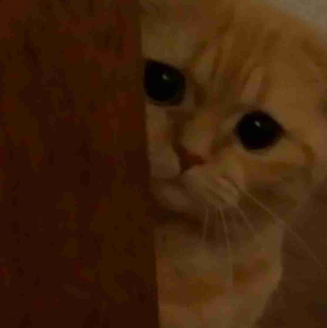  لری تو عاشق نمویی دل تو چی سنگه