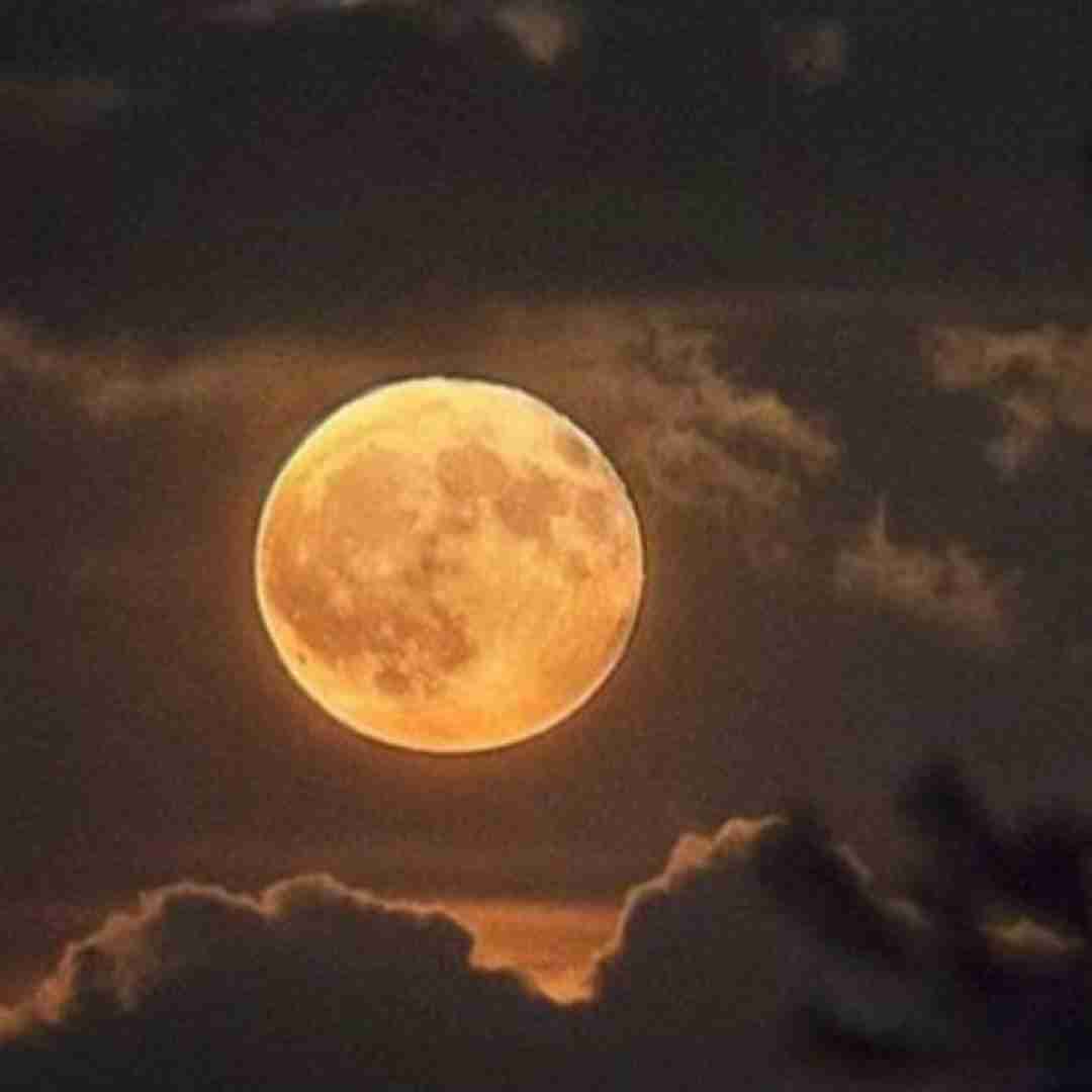 ترکی اونیمه اونیمه اونیمن اونیمن