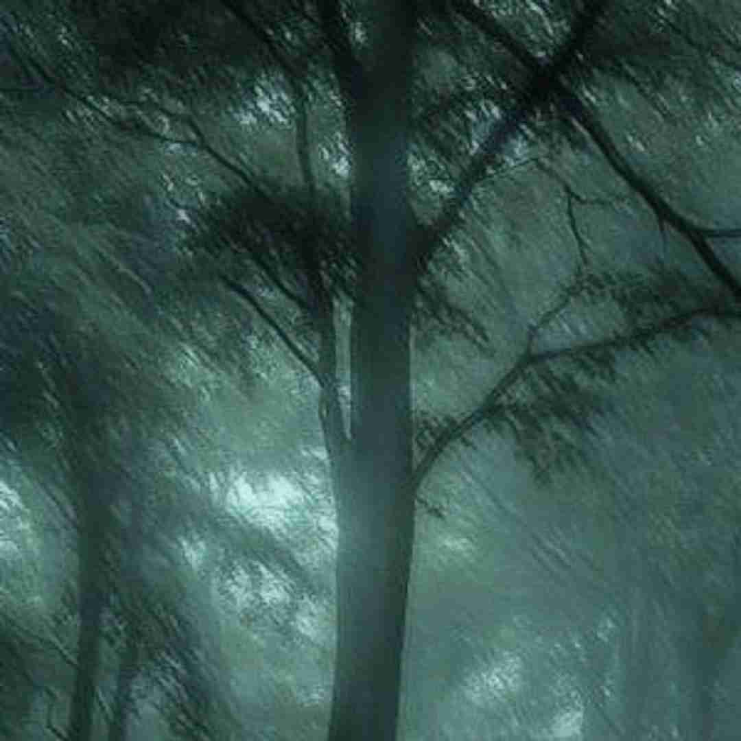  من علی سورنا به شعر من بسابین