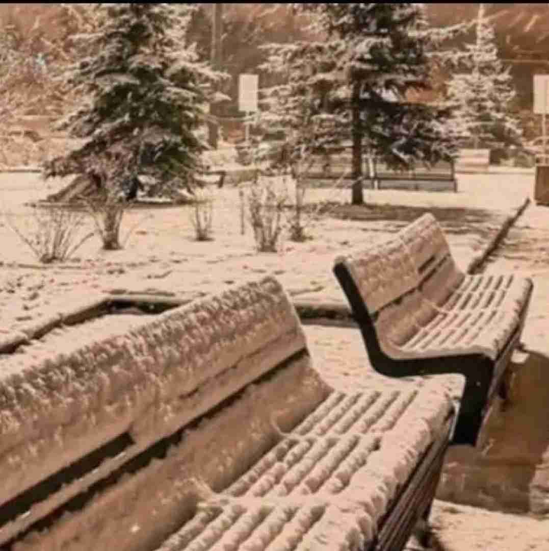  میشنوی صدای قلبم با صدای اختاپوس
