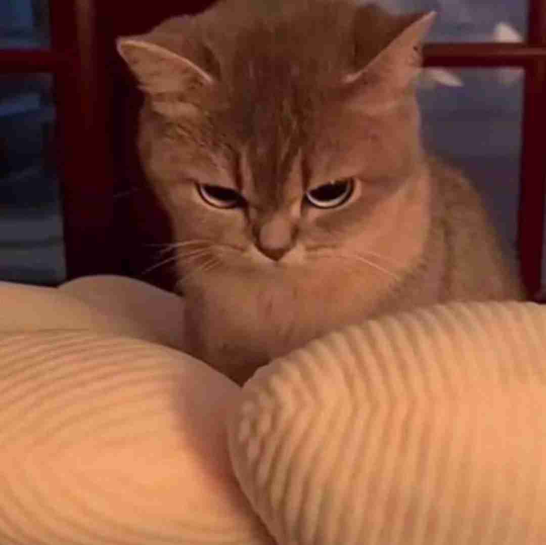  بشه منه فداش بشم منه