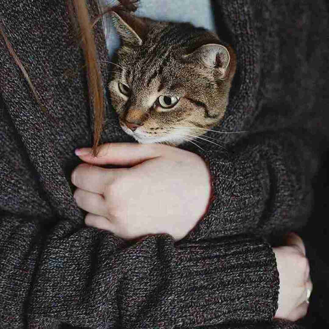  بعد تو این خونه خونه دیگه نمیشه نه نمیشه