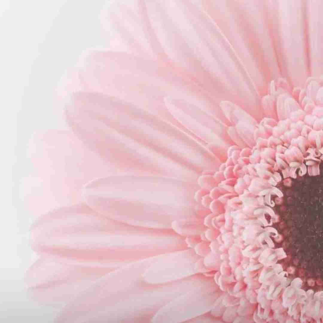 جیگی جیگی جیگی بوم بوم پاو