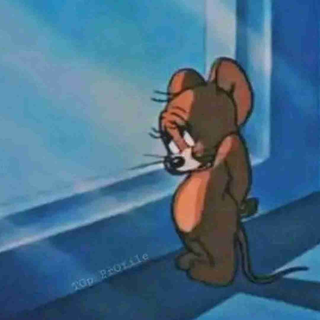 محلمون داداشی نو بنیاد تا قاراشی