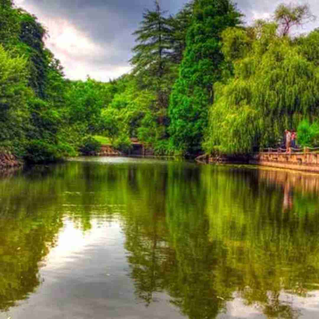  وای که چه حالی دارم هوای دیارو دارم