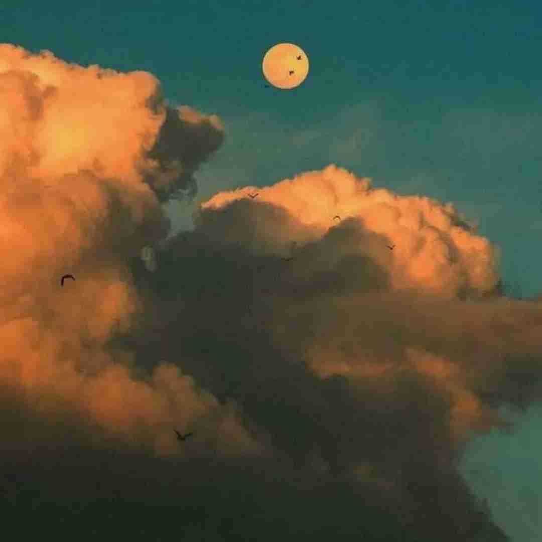  فرقی نداره سر صبح ته شب من این شهر
