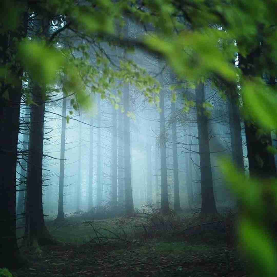  خودمونیم چه سلیطه ایه خوشم اومد خو سلیقه ایه