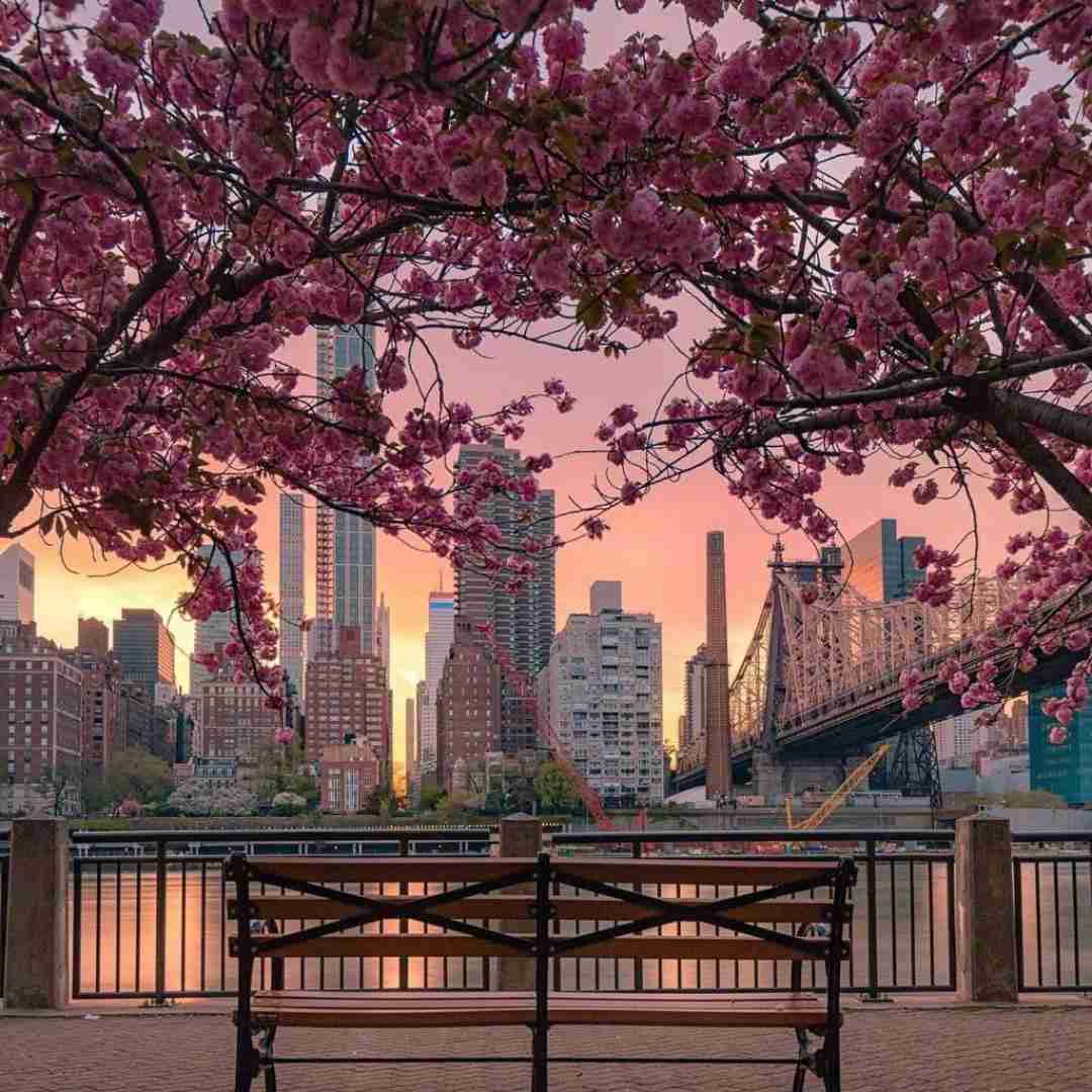  تو تو تو تو اکسی‌ توسینمی