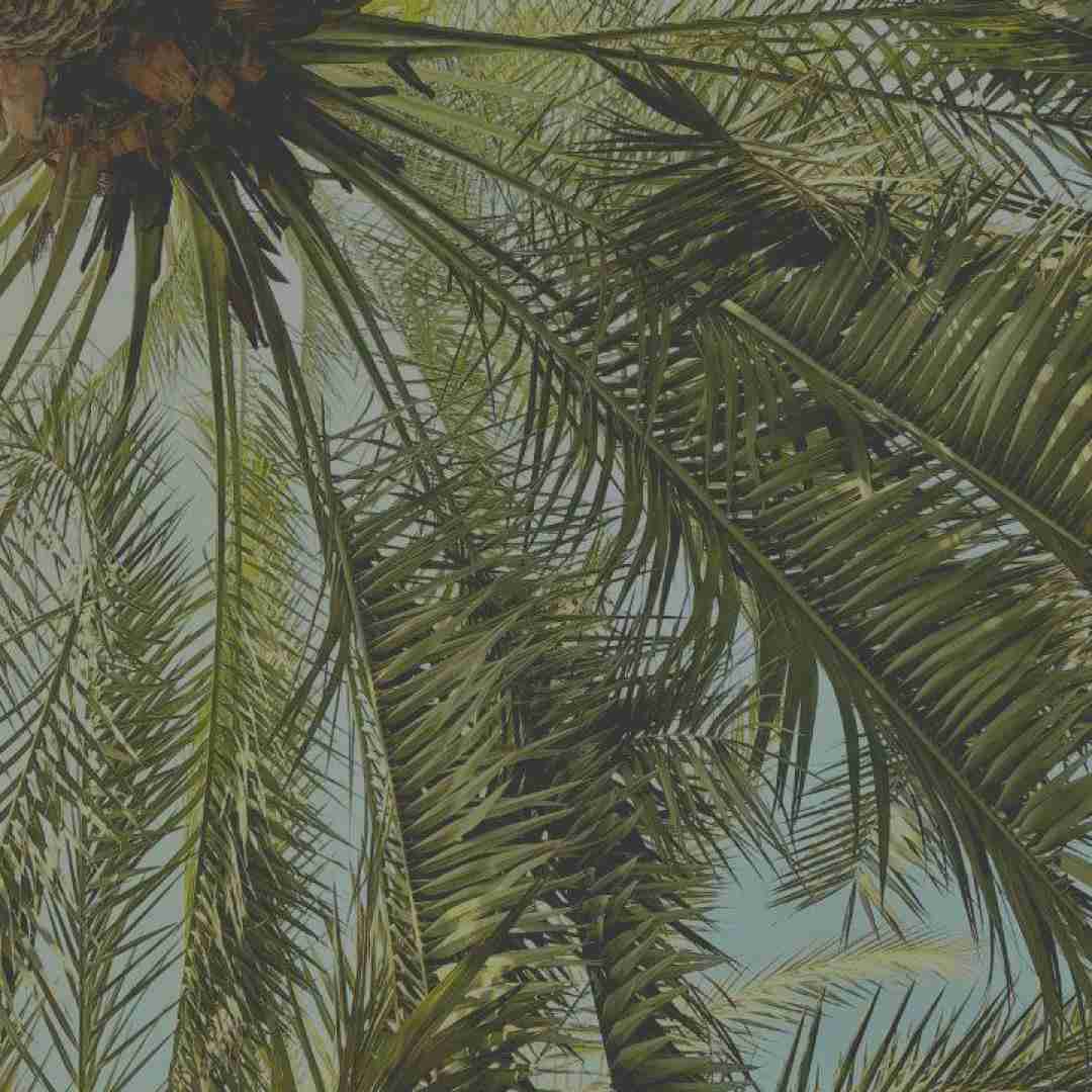 با خودم میگم نکن تهش خیلی برات بده
