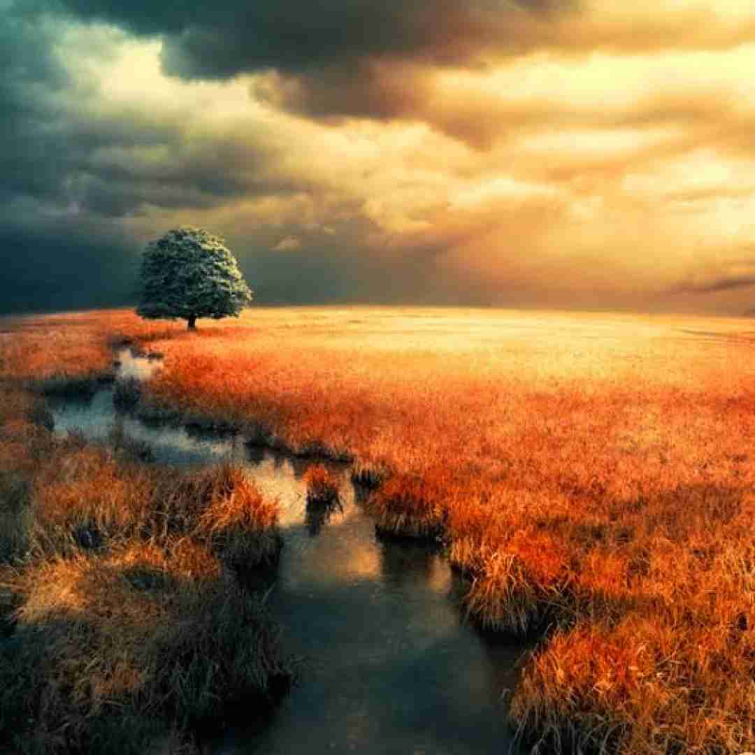 بوی تنت میاد تو اتاقم موهات گرفته رو صورتتو