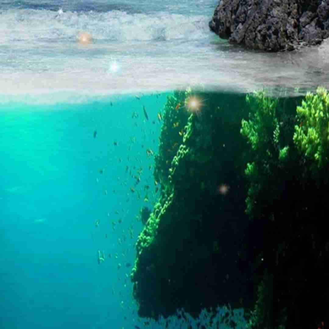 وای وای وای واویلا میکنه منو نگاه