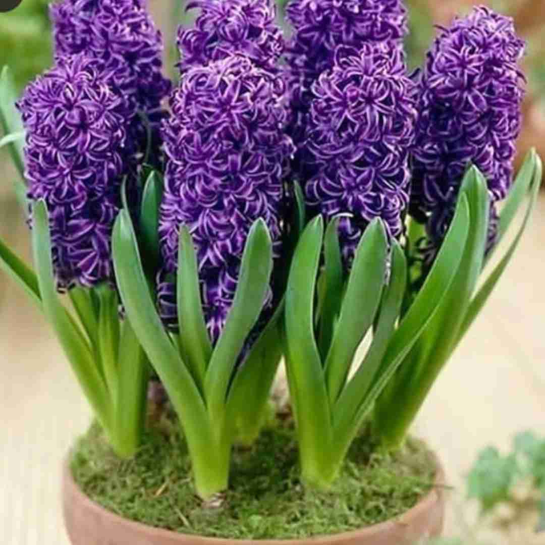  عشق اونجاست که قلبت میره همیشه اینستایی