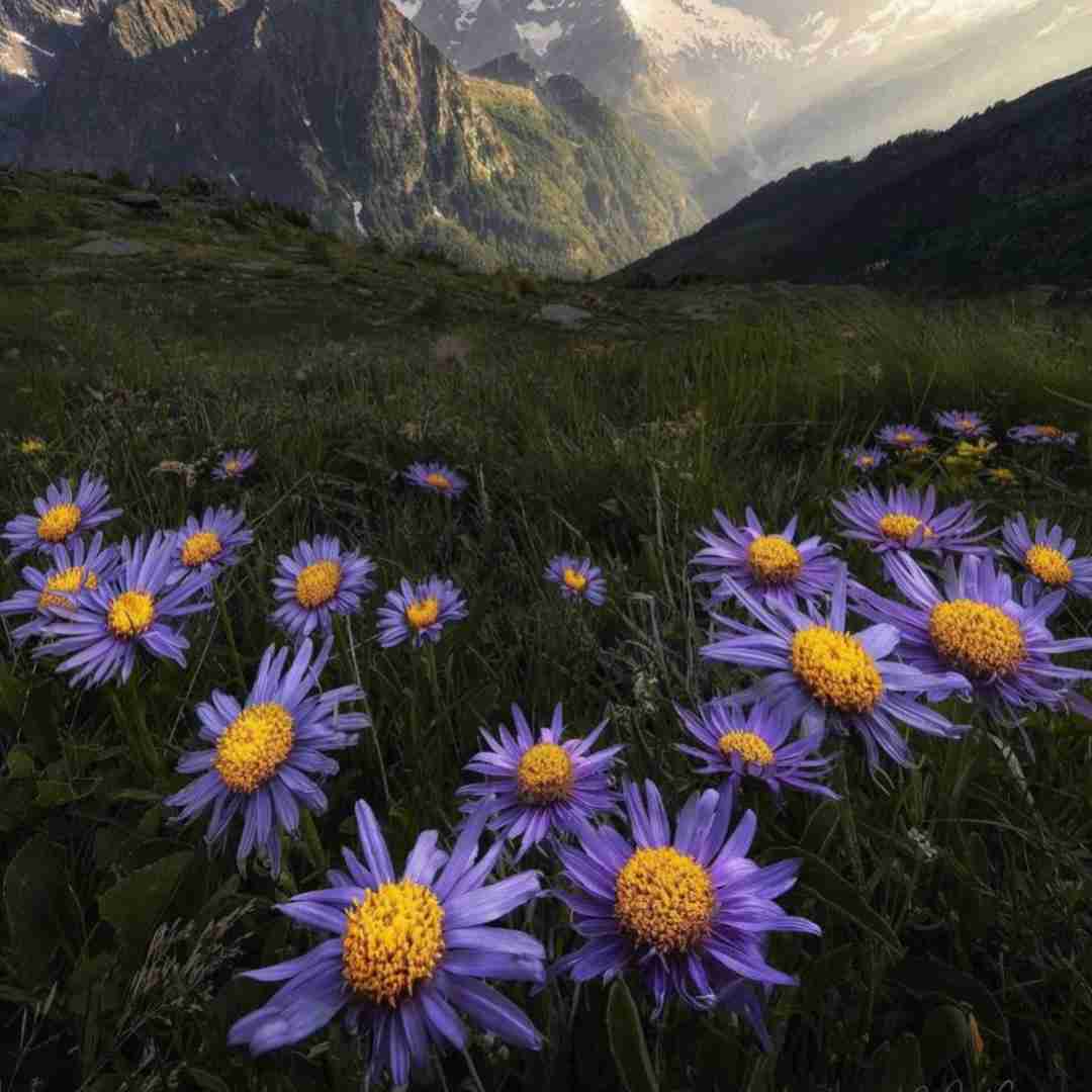  منی که قلبم و روحم و جسمم تویی