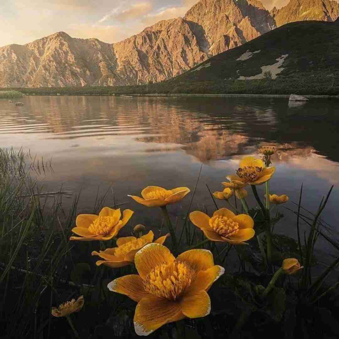  آهای غمی که مثل یه بختک رو سینه ی من