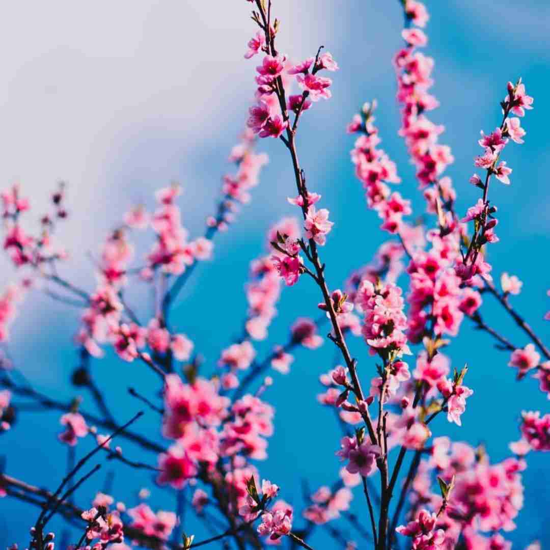  دختر بد فقط دعوا همش بحث همش اشکا میاد سخته