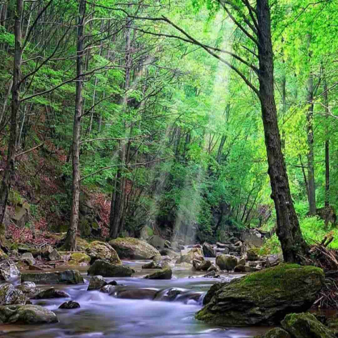 عاشقم سی تیلش دلباختیم سی میلش با صدای دختر