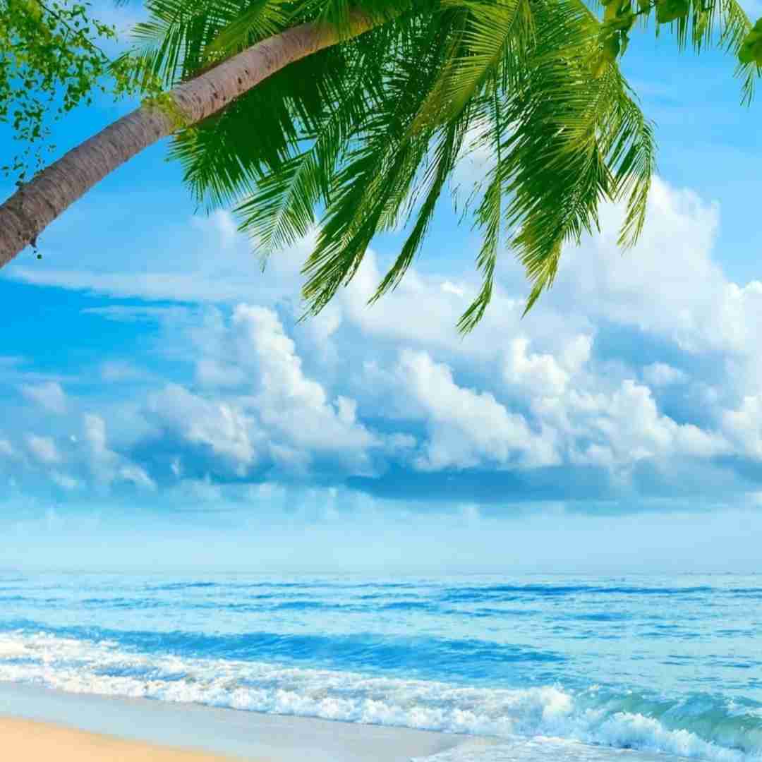 دیشب تو خواب هلال ماهو دیدم با صدای زن