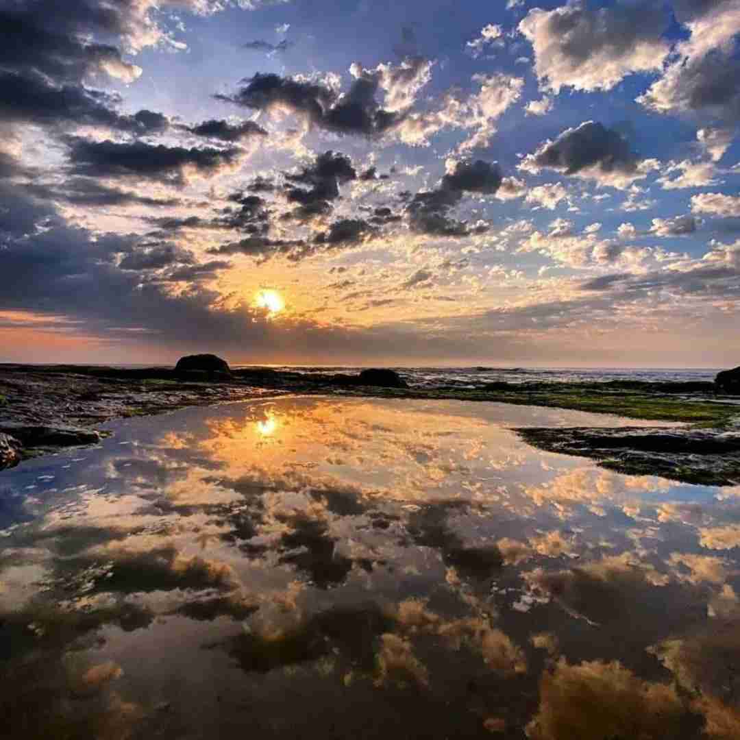  سواریمون پیکانه بارکشمون نیسانه