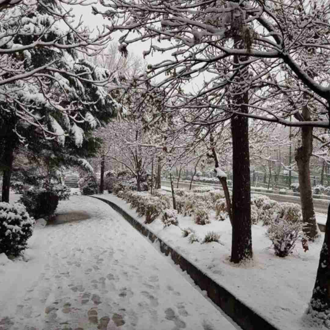  من طاقتم کمه خودت بمون برن همه با صدای پسر