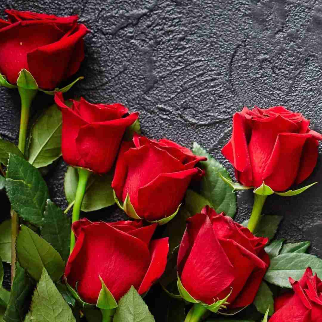  عشقم این روزا هوای تو هوامو بد کرده ( ریمیکس ترکی و فارسی )