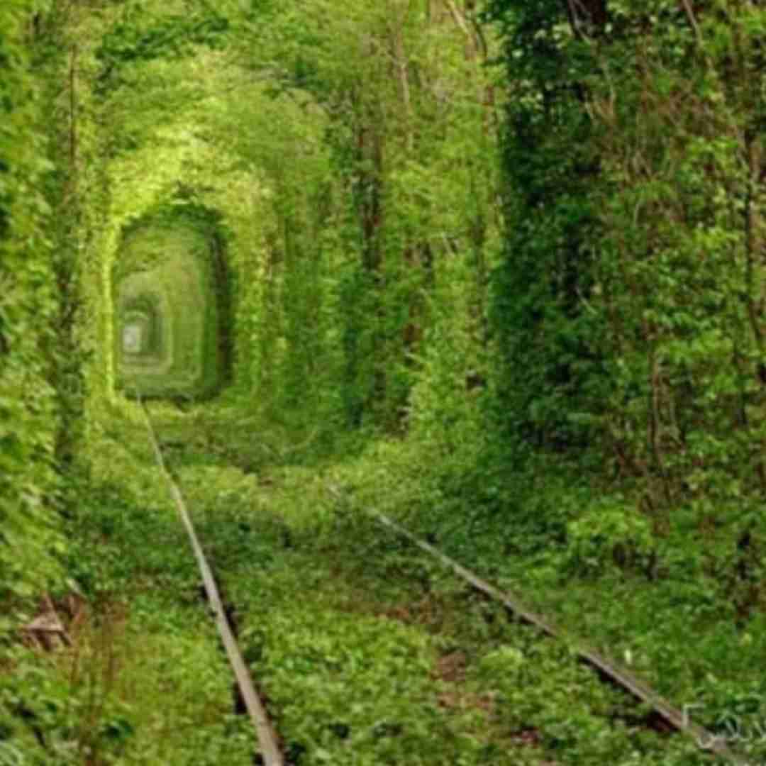 دلم دریای خونه ای مادر من