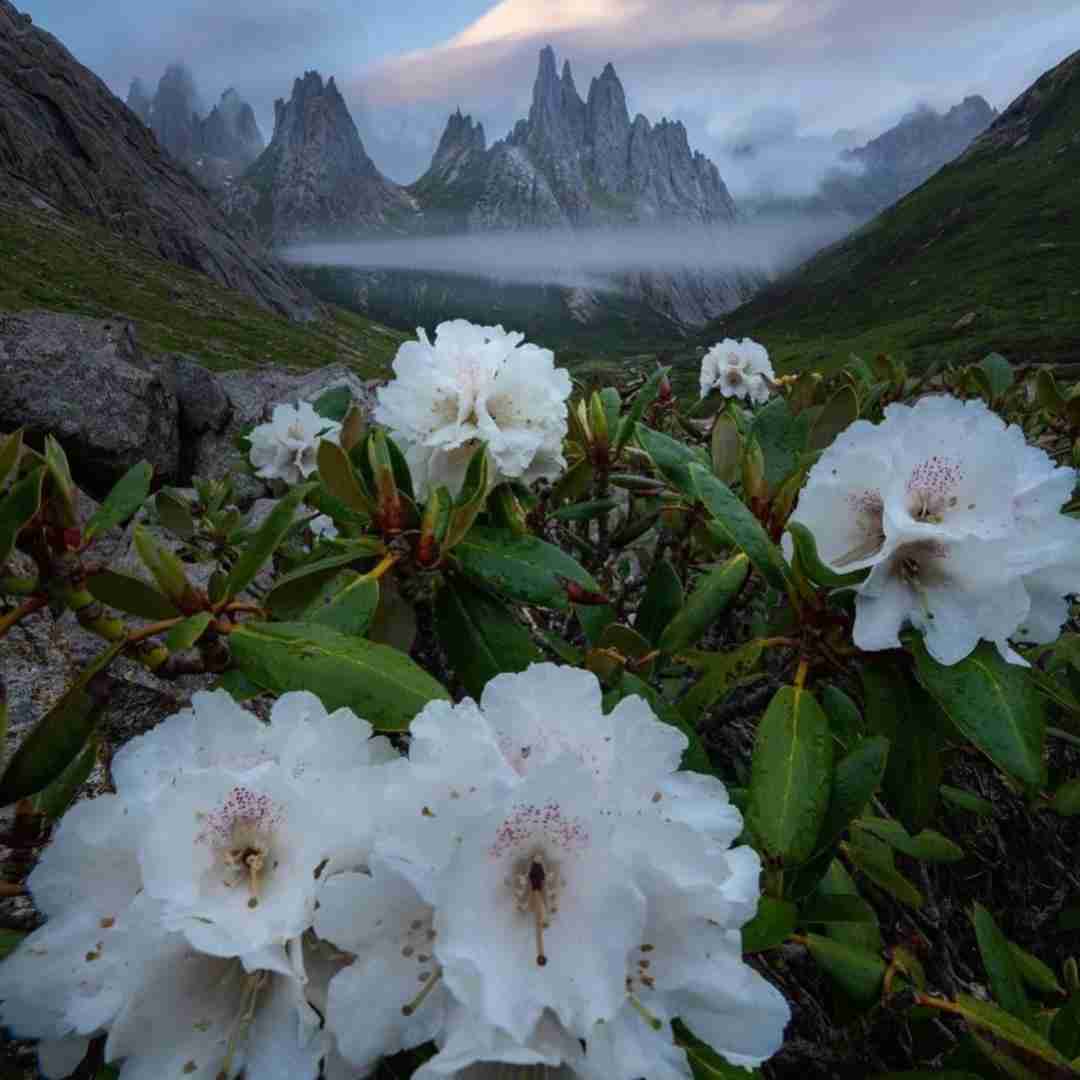  باور نکن تنهاییت را با صدای پسر