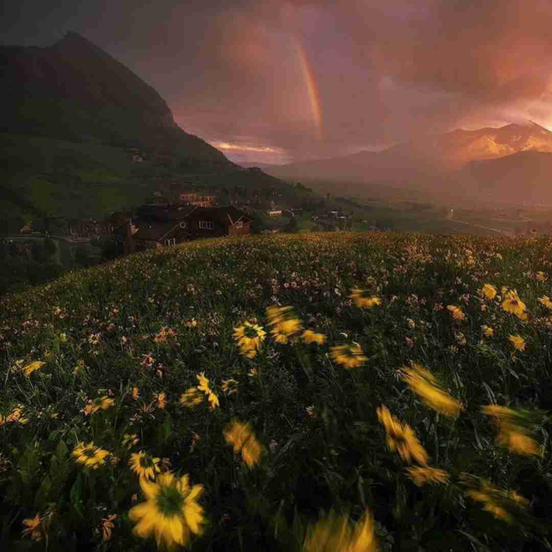  منو از این عذاب رها نمیکنی هوش مصنوعی