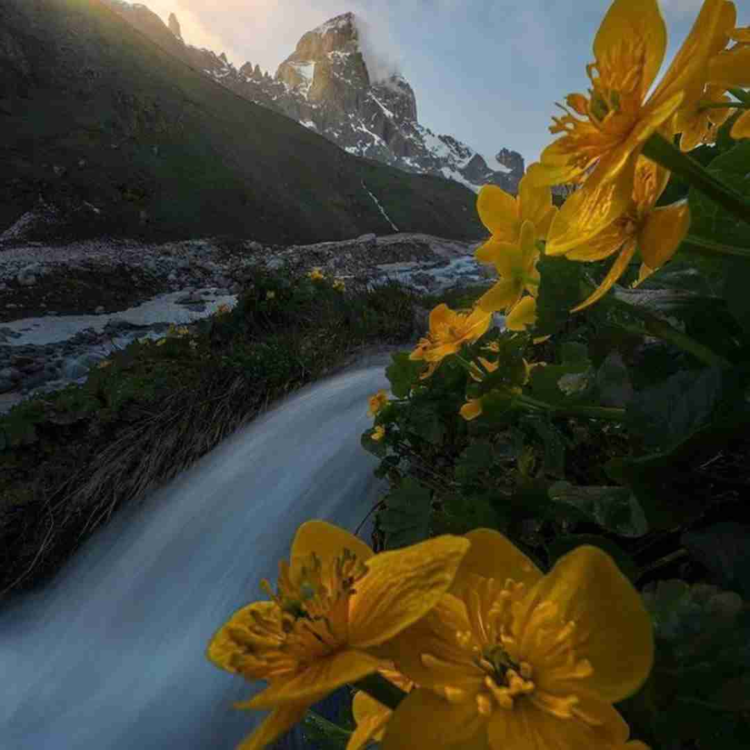  از اونا که تو خودم کشتنم چخبر از دوست ها که الآن دشمنن چخبر
