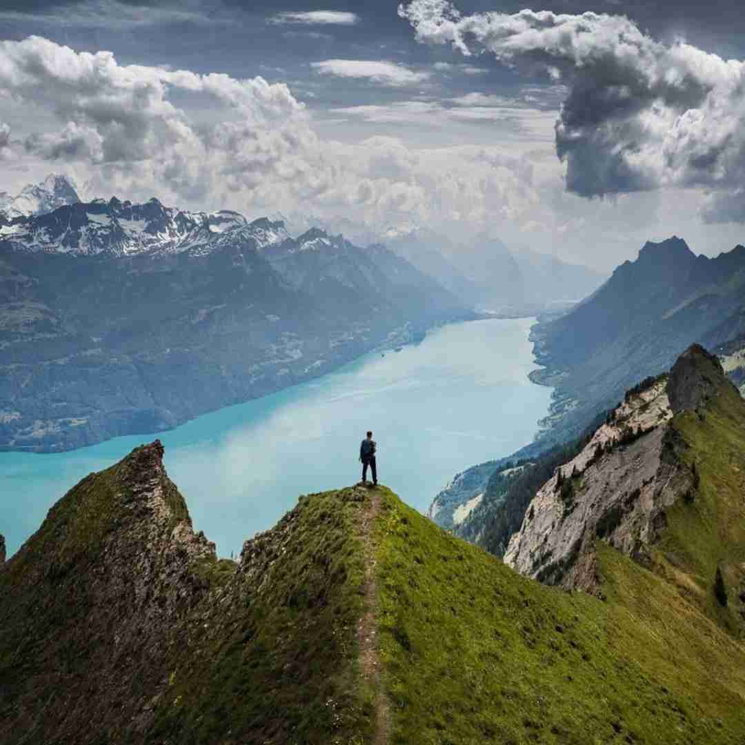 تو مثل خواب گل سرخی لطیفی مثل خواب با صدای زن