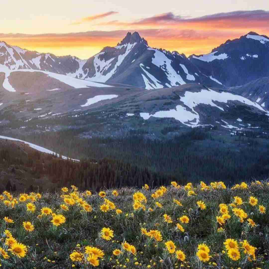  الو په په تو صندوق کیلو کیلو جنسه ( با صدای پسر اینستایی )