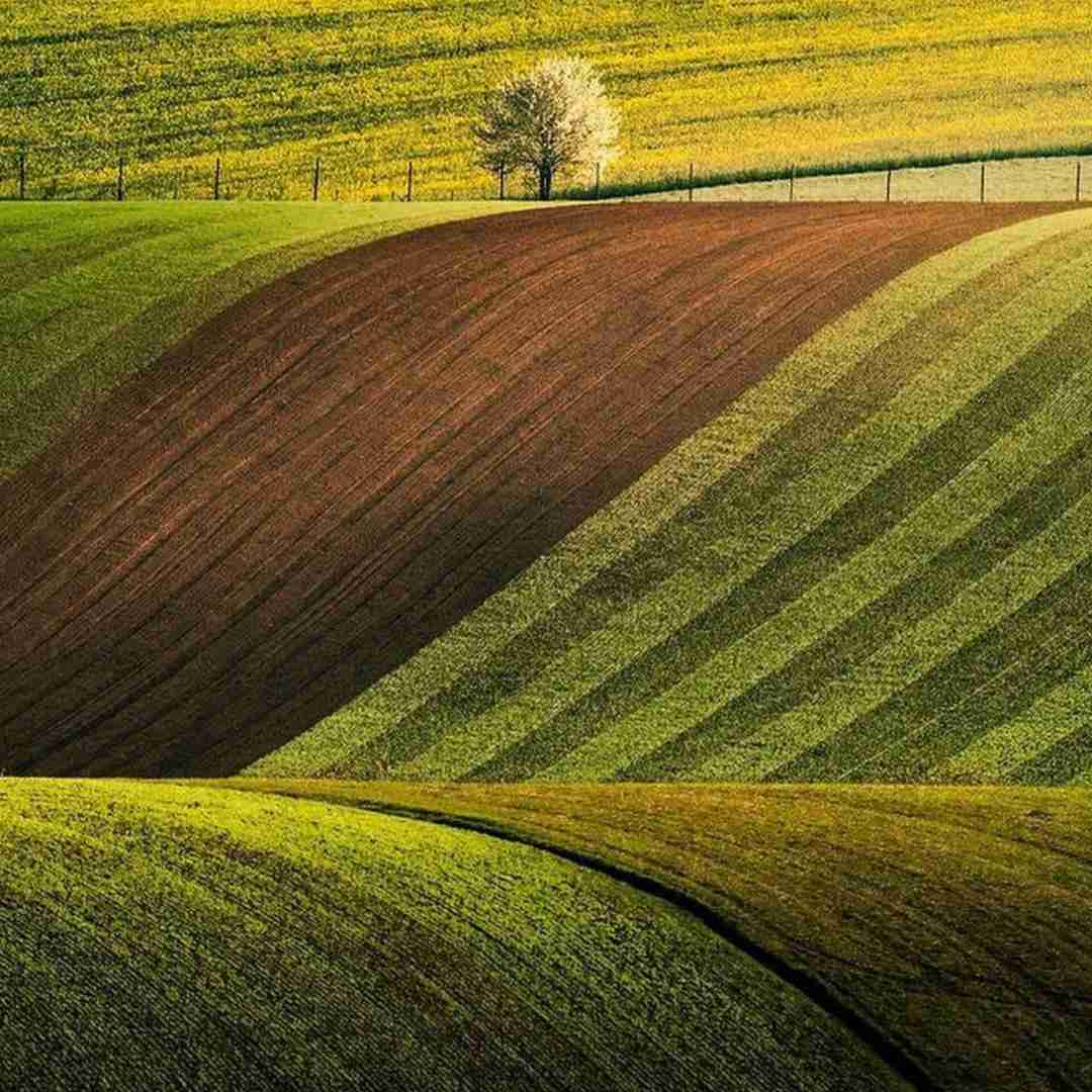  هر چی میکشیم میخوریم چیزی ذخیره نی